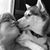 Kim McLaughlin Sharp's profile image