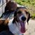 Jenel Hazlett's profile image