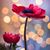 Mary Feiten's profile image
