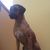 Craig Barter's profile image