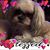 Pauline Wiles's profile image
