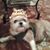 Joyce Sealey's profile image