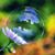 Lori Lange's profile image