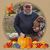 Benjamin Wilbur's profile image