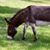 Linda C Clark's profile image