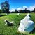 Danny Miller's profile image