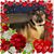 Susan Leisher's profile image