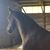 Dani McPherson's profile image