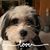 Donna Raile Habrock's profile image