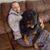 Jeff Cartwright's profile image