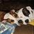 Gill Enos's profile image