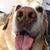 Sue Edwards Nickerson's profile image
