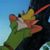 Rusty Odom's profile image