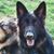 Dor Fischer's profile image