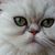 Donna Boyd's profile image