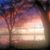 Jo Lynn Mahanay Hutto's profile image