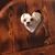 John Pell Jr's profile image