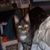 Mary Anne Williams Bizga's profile image