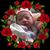 Erica Tello Liberona's profile image
