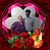 Candy Davis's profile image