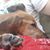 Cindy Davidson Paulson's profile image