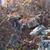 Christine Jones Kratly's profile image