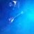 Joshua Womack's profile image