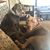 Mandy Mankin's profile image