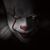 Tom Ogle's profile image