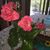 Donnajean Engstrom's profile image