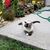 Susan Slavin's profile image