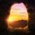 Wanda Fulkerson's profile image