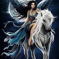 Michelle Steen West's profile image