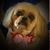 Laura Wright's profile image
