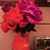 Janet Hall-Peeplez's profile image