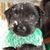 Gerardo Mauricio Cervantes Gamarra's profile image