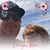 Kathy Meers's profile image