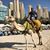 Perron Mac Trottman's profile image
