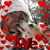 Tiziana Rodriguez Gould's profile image