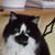 Marlene Thieke's profile image