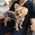 Barbara Hester Fannon's profile image
