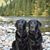 Amy Hagerty Reynolds's profile image