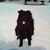 Tammy Frasier Kaczmarek's profile image