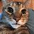 Mike Weese's profile image