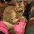 Theron Brawley's profile image