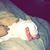 Michael Cuevas's profile image