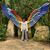 Kim Quinton Ericson's profile image