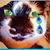 Terry Negro's profile image