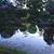 Shirley Collins's profile image