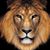 Alan Leon's profile image